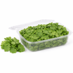 Coriander Leaves( கொத்தமல்லி)