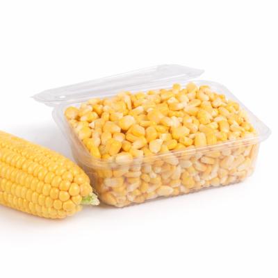 Sweet corn(கார்ன்)
